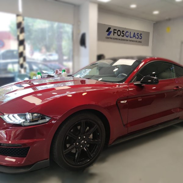 FORD MUSTANG (15)